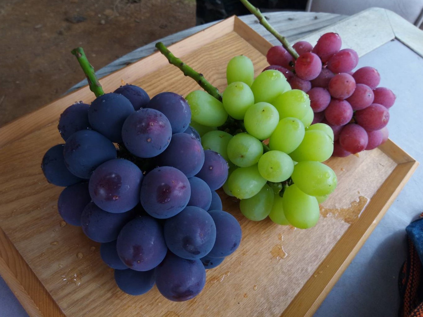 ぶどうオタクに聞く！好きなブドウ品種を探せ！