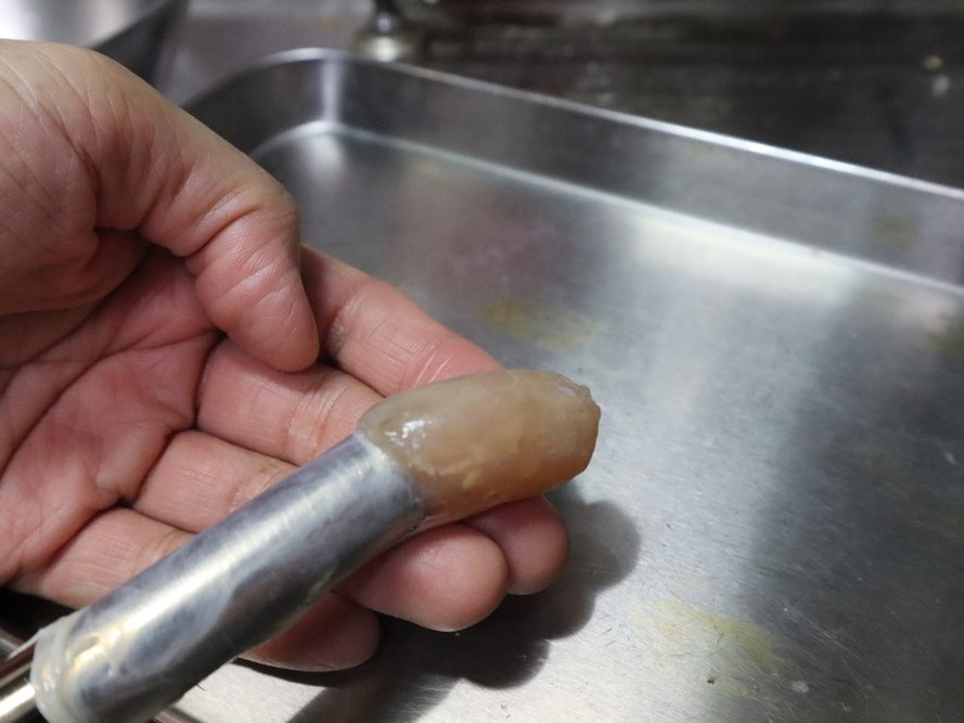 自家製「魚肉ソーセージ」は作れるか？いろんな魚で挑戦！