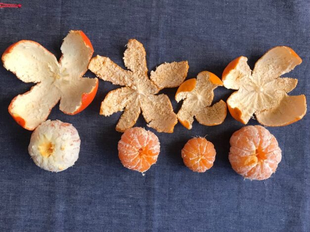 大好きなミカンを皮まで愛そう！驚きの活用方法とみかん研究 | 食オタ