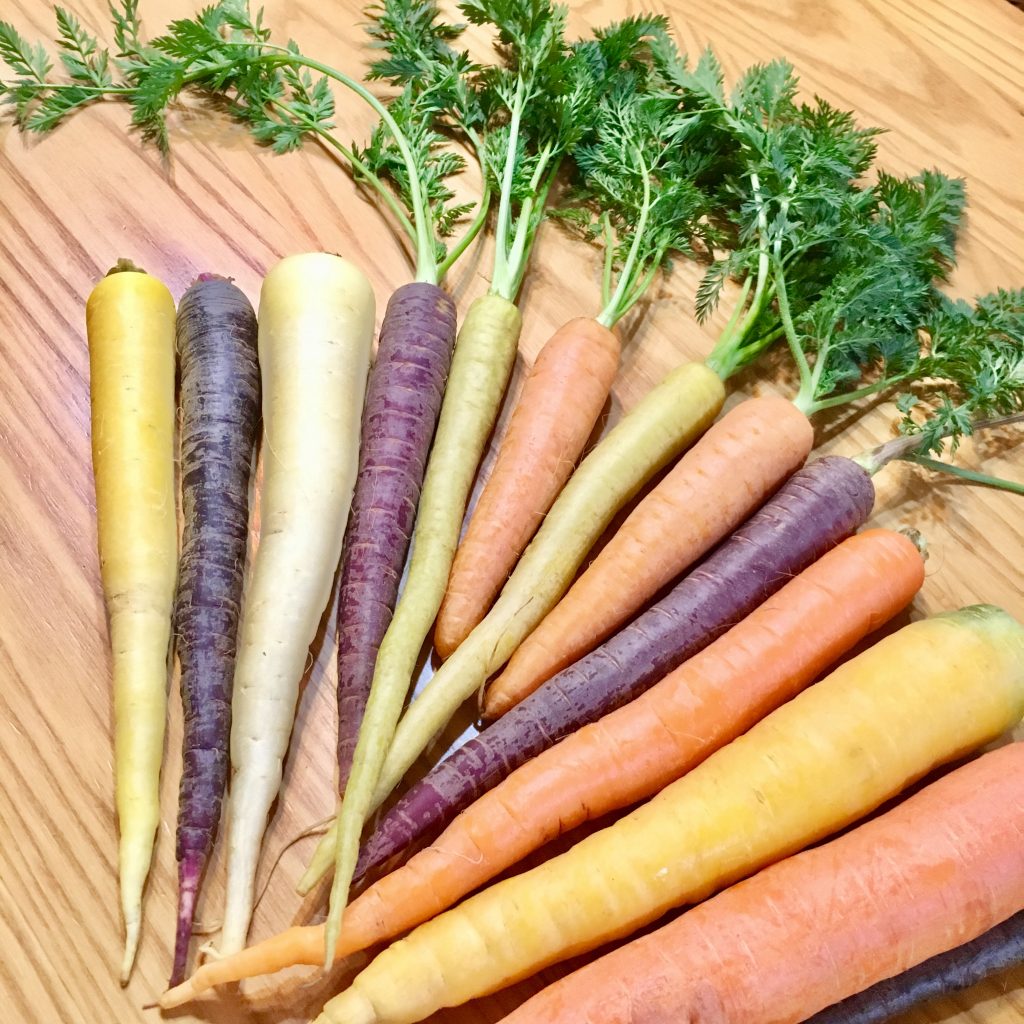 カラフル人参大解剖！！生食だけじゃもったいない！ | 食オタ｜食の